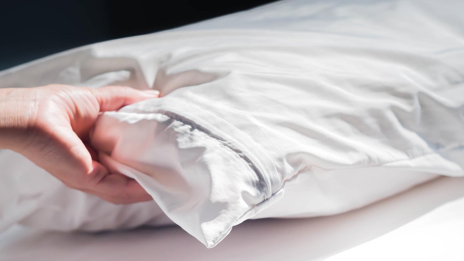 Almohada el complemento